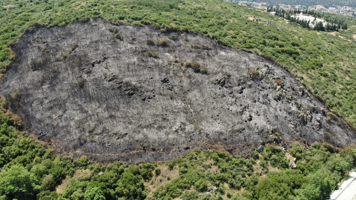 Για εμπρησμό από αμέλεια κατηγορούνται οι τρεις εργάτες που συνελήφθησαν για τη φωτιά στα Πεύκα Θεσσαλονίκης