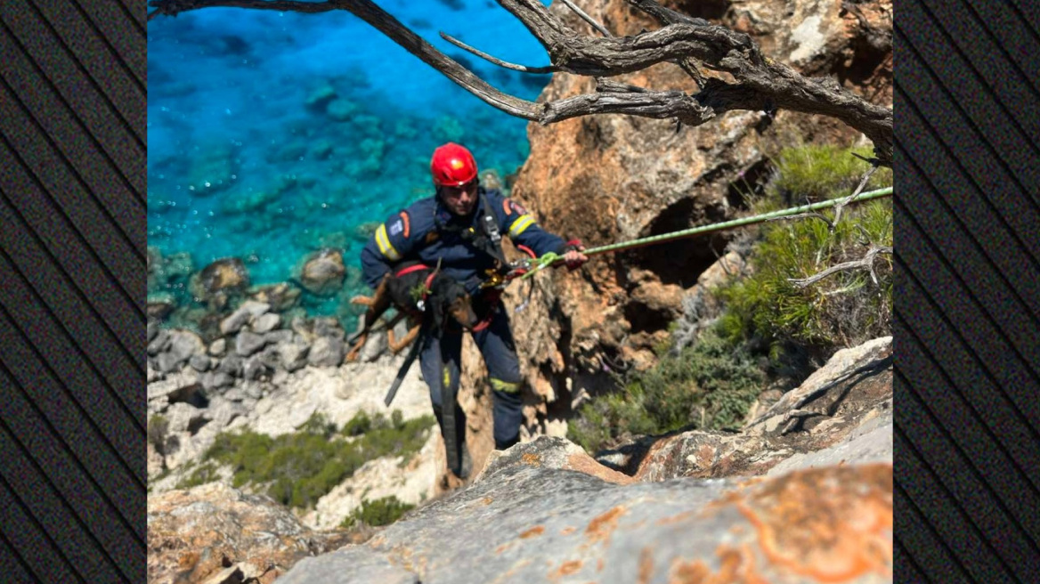 Η Πυροσβεστική έσωσε σκύλο που έπεσε σε γκρεμό παραλίας στη Ζάκυνθο, δείτε βίντεο