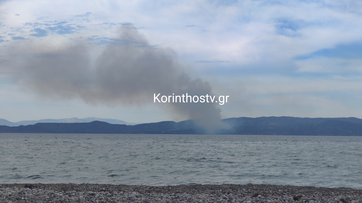 Οριοθετήθηκε η φωτιά σε δασική έκταση στη Σκαλωσιά Περαχώρας
