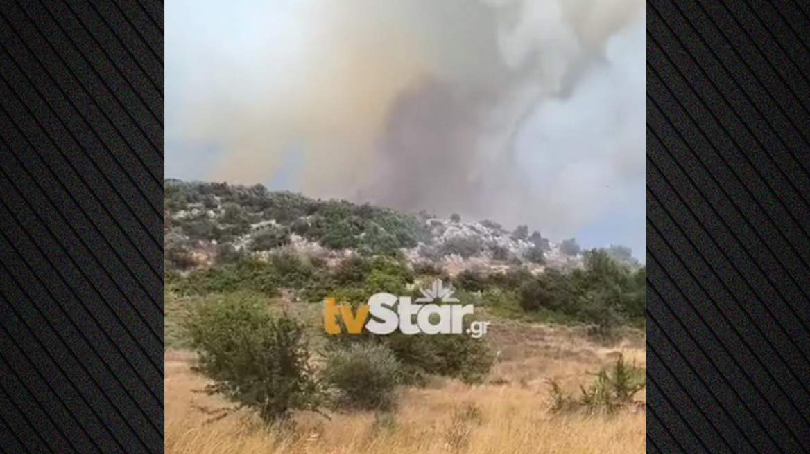 Έκλεισε η Αθηνών - Λαμίας λόγω της φωτιάς στο Ακραίφνιο Βοιωτίας: Επιχειρούν 10 αεροσκάφη και 2 ελικόπτερα