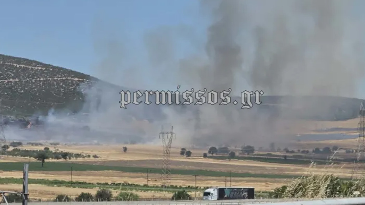 Υπό έλεγχο η φωτιά στην Αθηνών - Λαμίας στο ύψος της Ριτσώνας