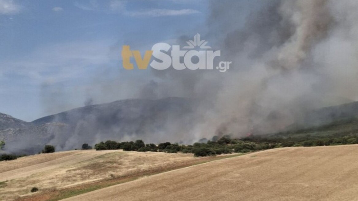 Αυξάνονται συνεχώς οι δυνάμεις για τη φωτιά στον Ορχομενό, επιχειρούν 13 εναέρια