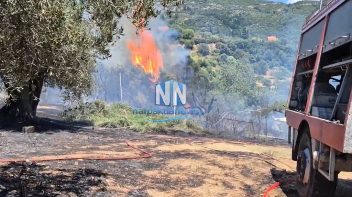 Υπό έλεγχο η φωτιά στη Μαμουλάδα