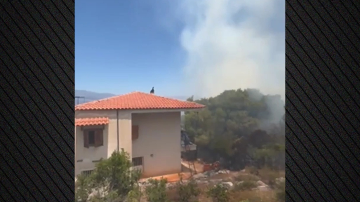 Σε ύφεση η φωτιά στο Πευκάλι Κορινθίας, μήνυμα του 112 για εκκένωση