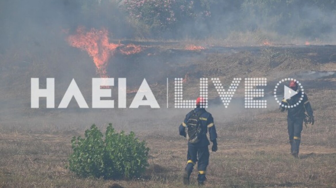 Σε ύφεση και χωρίς ενεργό μέτωπο η φωτιά στη Βάρδα Ηλείας