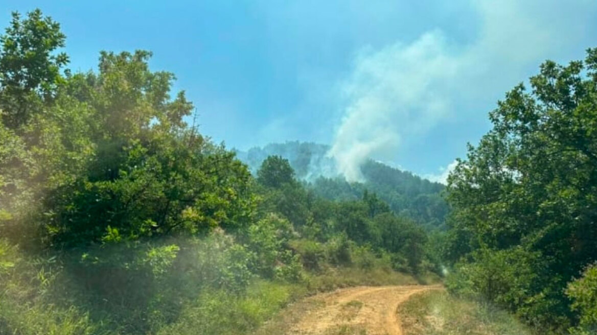 Φωτιά στα Κανάλια Μουζακίου, σηκώθηκαν 5 εναέρια 