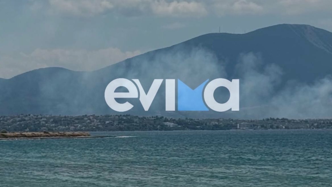 Μεγάλη φωτιά στη Χαλκίδα στη θέση Μπουρνώντα: Εστάλη μήνυμα από το 112, σηκώθηκαν εναέρια μέσα
