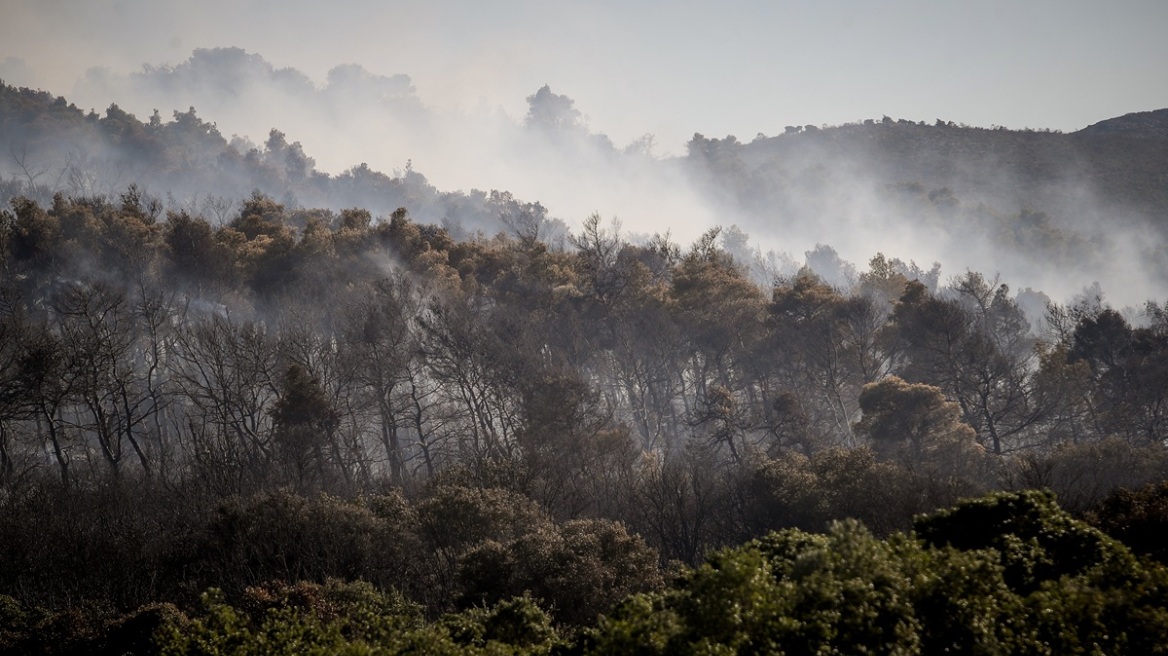 Meteo: Η φωτιά στην Οινόη δημιούργησε τον δικό της καιρό
