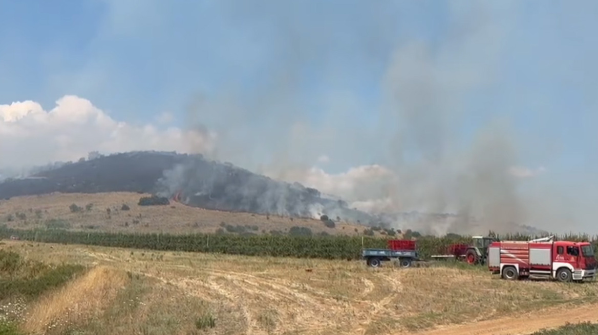 Οριοθετήθηκε η φωτιά στον Αργυρόμυλο Λάρισας, δείτε βίντεο