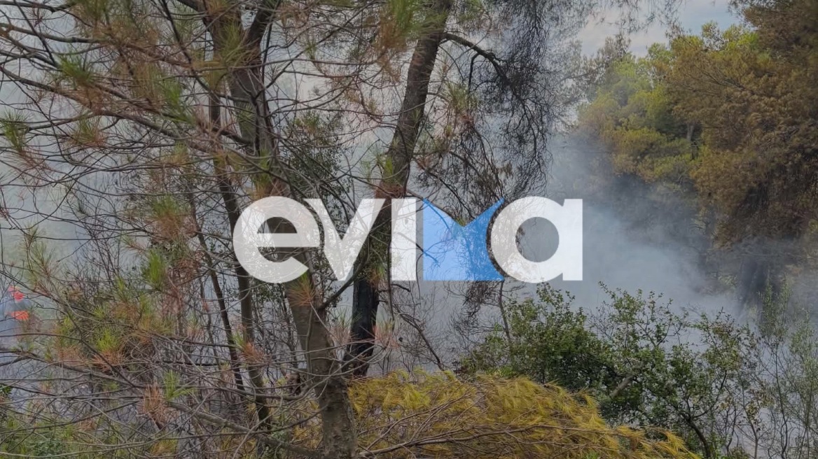 Φωτιά σε δασική έκταση στην Εύβοια, πιθανότατα προκλήθηκε μετά από πτώση κεραυνού 
