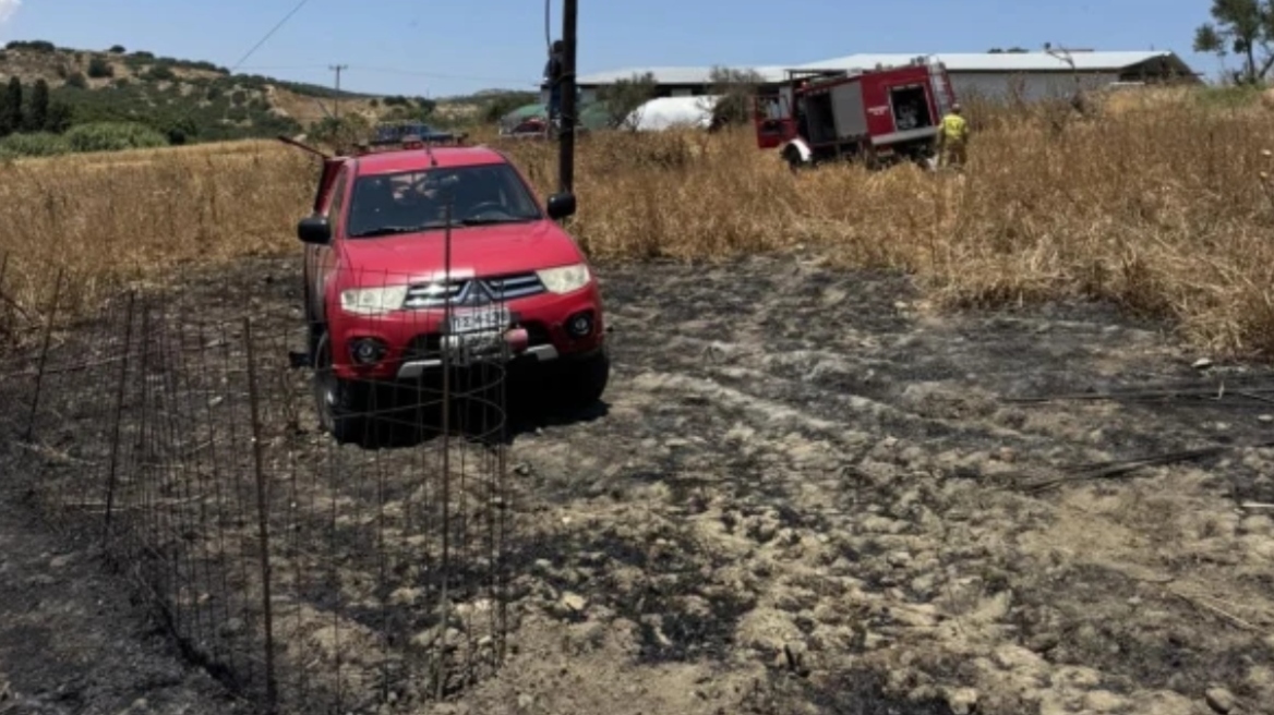 Υπό έλεγχο η φωτιά σε αγροτοδασική έκταση στο Ηράκλειο Κρήτης