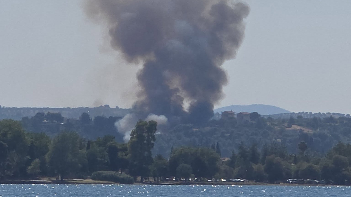 Σε ύφεση και χωρίς ενεργό μέτωπο η φωτιά στον Ωρωπό, δείτε βίντεο  