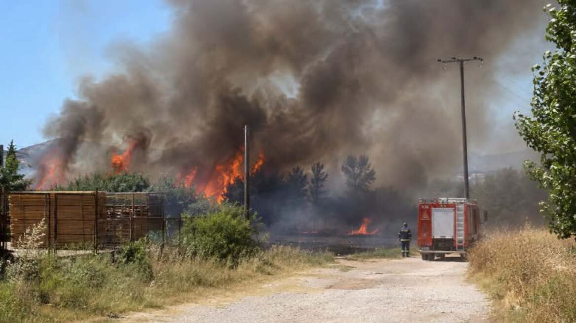 Θεσσαλονίκη:Οριοθετημένη η πυρκαγιά στο Περιβολάκι Λαγκαδά, συνεχίζεται η επιχείρηση πλήρους κατάσβεσης