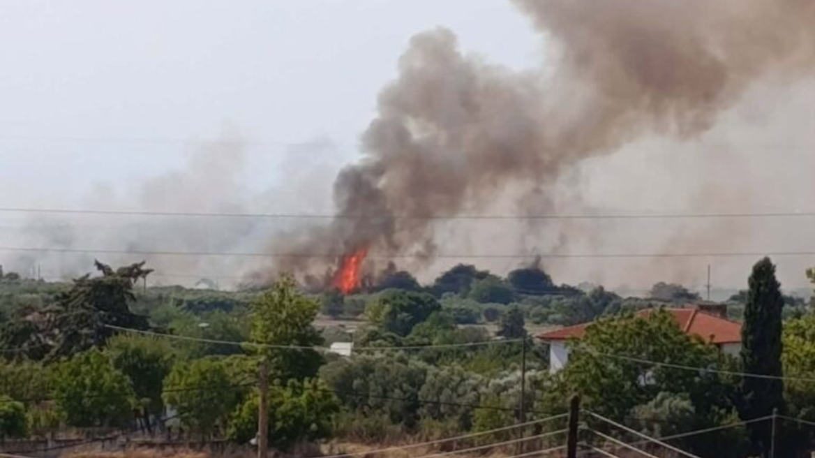Οριοθετήθηκε η φωτιά στη Σουρωτή Θεσσαλονίκης
