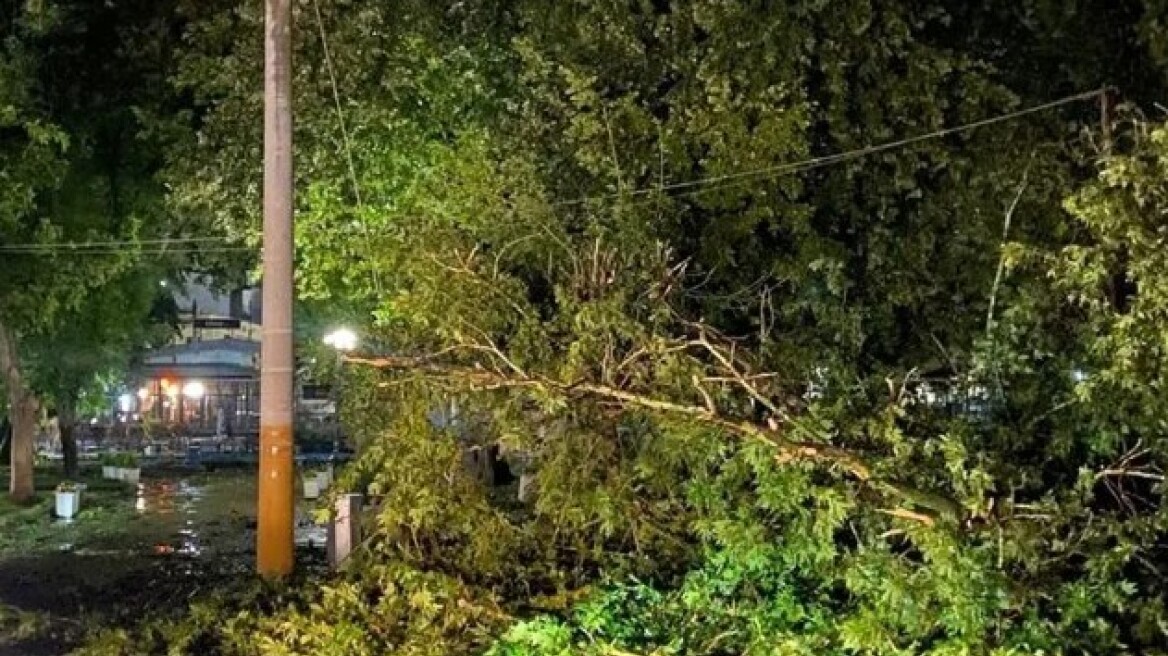 Πτώσεις δέντρων και πλημμυρισμένοι δρόμοι σε Δράμα και Κομοτηνή, 41 κλήσεις δέχθηκε η Πυροσβεστική
