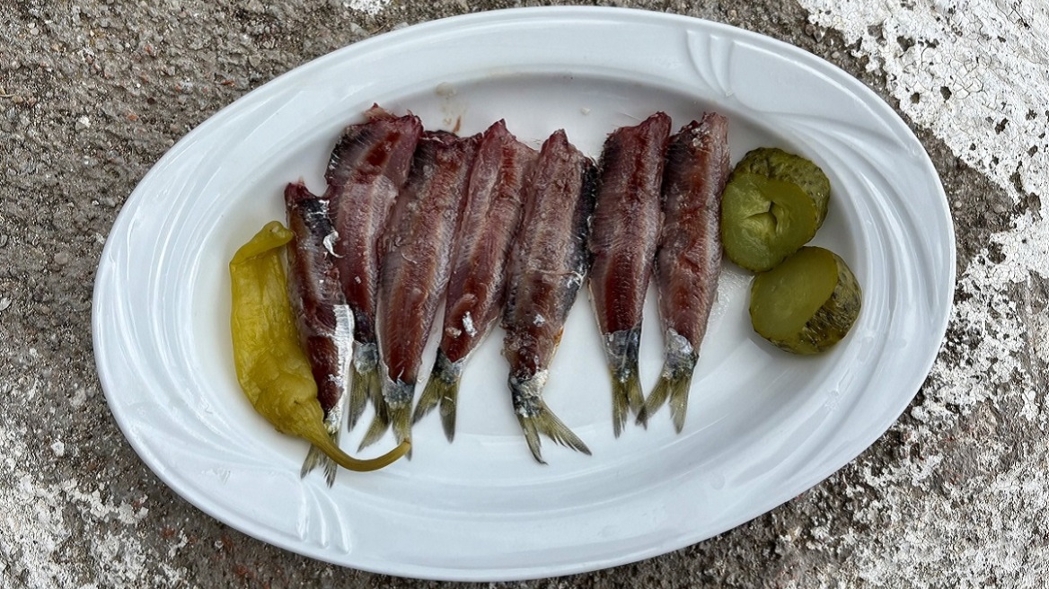 Το ψάρεμα της παπαλίνας αρχίζει τα μεσάνυχτα – Το ταξίδι της σαρδέλας Καλλονής από τα τρεχαντήρια στο πιάτο