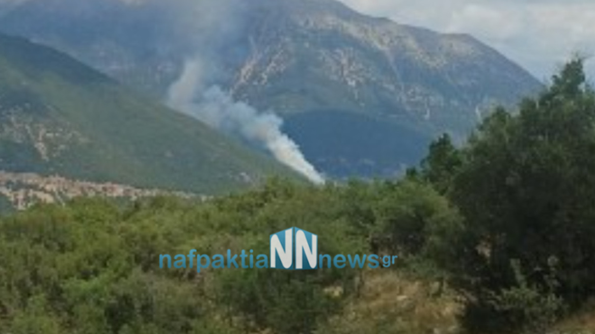 Φωτιά τώρα στο Ανθόφυτο Αιτωλοακαρνανίας, καίει δασική έκταση - Σηκώθηκαν 4 αεροσκάφη και 2 ελικόπτερα
