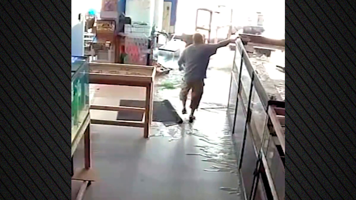 Τεράστιο ενυδρείο έσπασε σε petshop, νεκρά εκατοντάδες ψάρια - Δείτε βίντεο