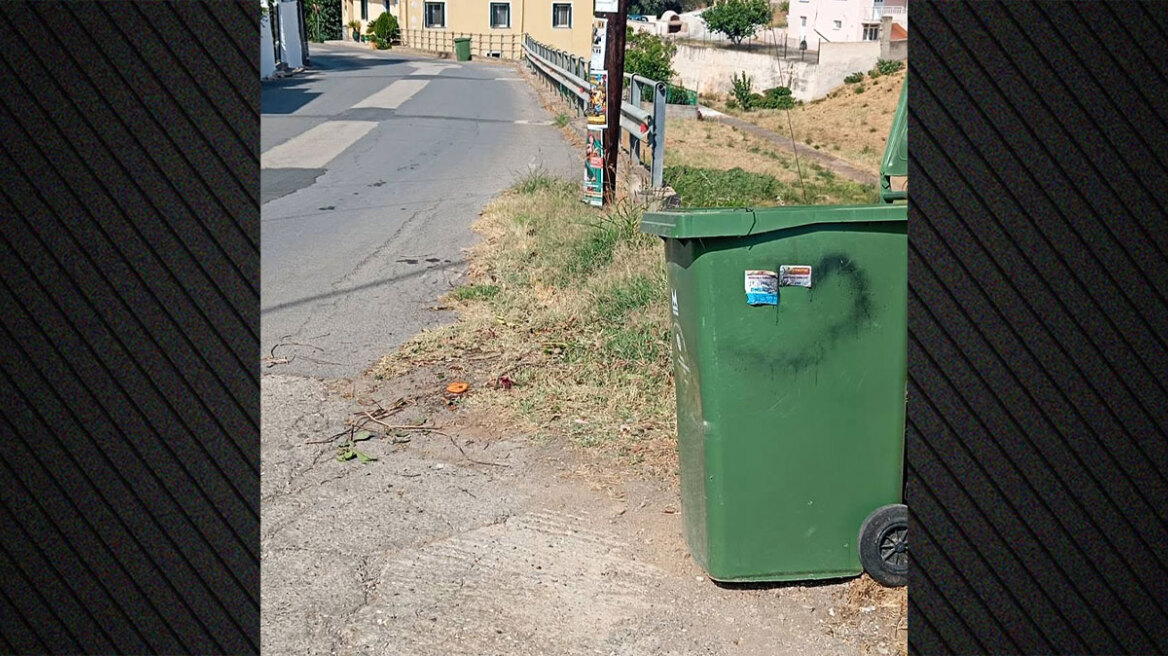 Νεκρός σκύλος με σύρμα στον λαιμό σε κάδο απορριμμάτων στο Άστρος Κυνουρίας, σκληρές εικόνες 