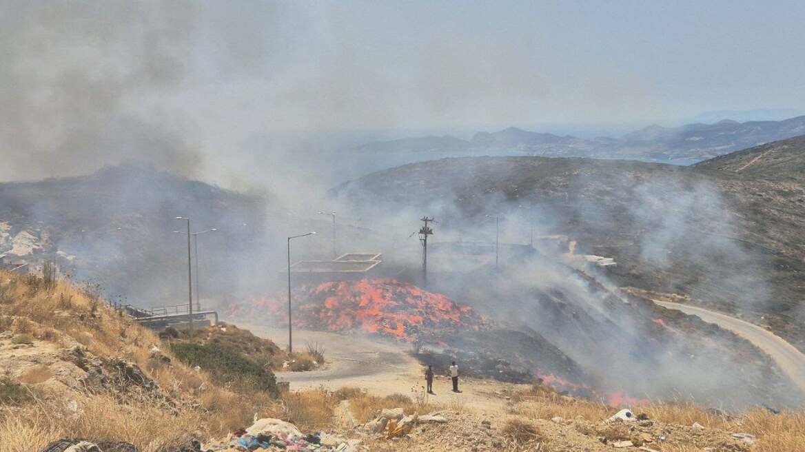 Ελεύθεροι ο δήμαρχος και οι κατηγορούμενοι για τη φωτιά στην Πάρο: Τι είπαν στις προανακριτικές τους απολογίες, μπαλάκι οι ευθύνες