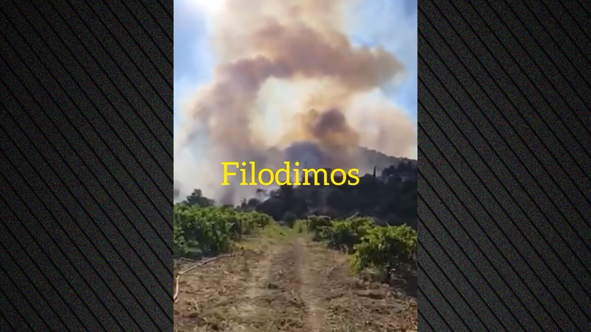 Φωτιά τώρα στην περιοχή Νεραντζιές στο Αίγιο, εστάλη 112 για ετοιμότητα
