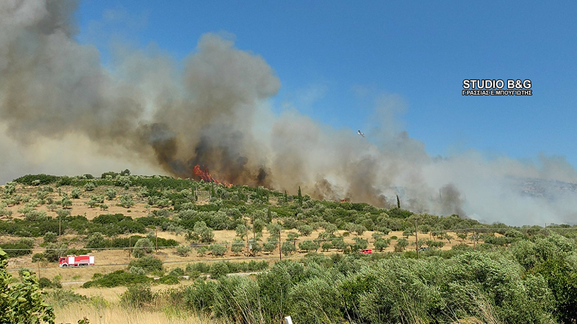Νέα φωτιά στην Αργολίδα, κοντά στις Μυκήνες - Μαίνεται η πυρκαγιά στη Βοιωτία, μπαράζ από μηνύματα του 112 για εκκενώσεις