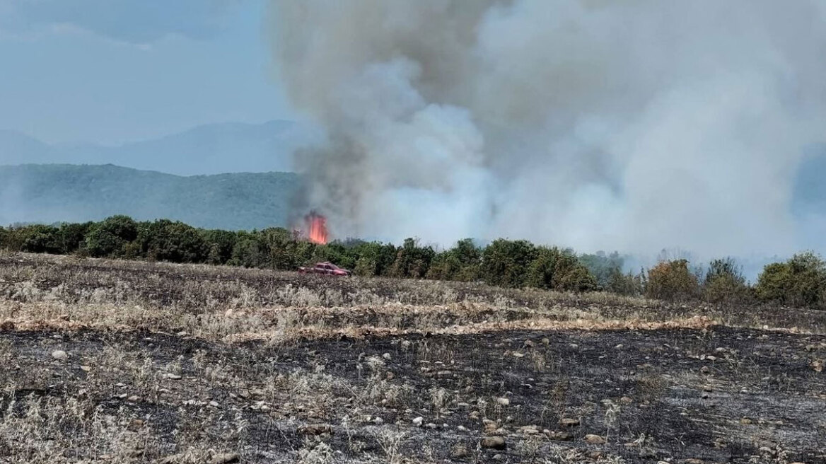 Φωτιά τώρα στην περιοχή Βροντού Πιερίας, επιχειρούν 46 πυροσβέστες με 19 οχήματα - Σηκώθηκαν 2 αεροσκάφη