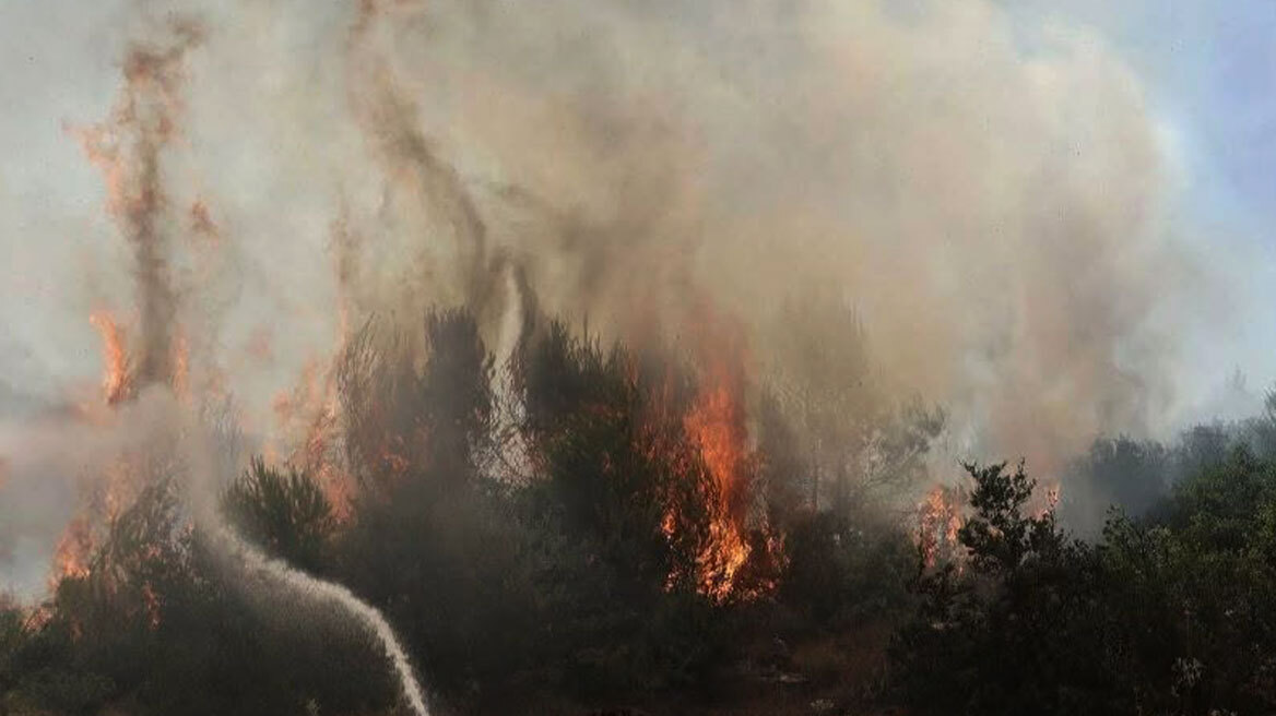 Πανελλήνια Ομοσπονδία Γεωτεχνικών Δημοσίων Υπαλλήλων: Το Antinero έχει συμβάλλει στη μάχη κατά των πυρκαγιών, όχι άλλη υποκρισία