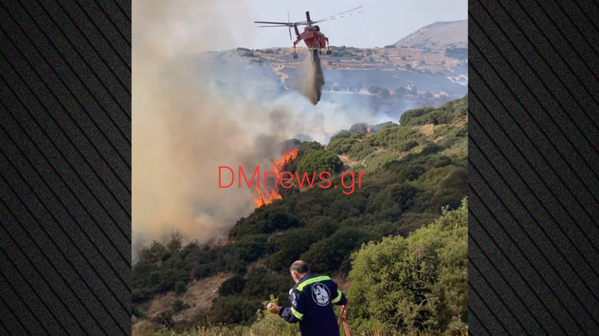 Χωρίς ενεργό μέτωπο η φωτιά στο Στεφάνι Κορινθίας, ξεκίνησε από περιοχή με φωτοβολταϊκά λέει ο αντιδήμαρχος