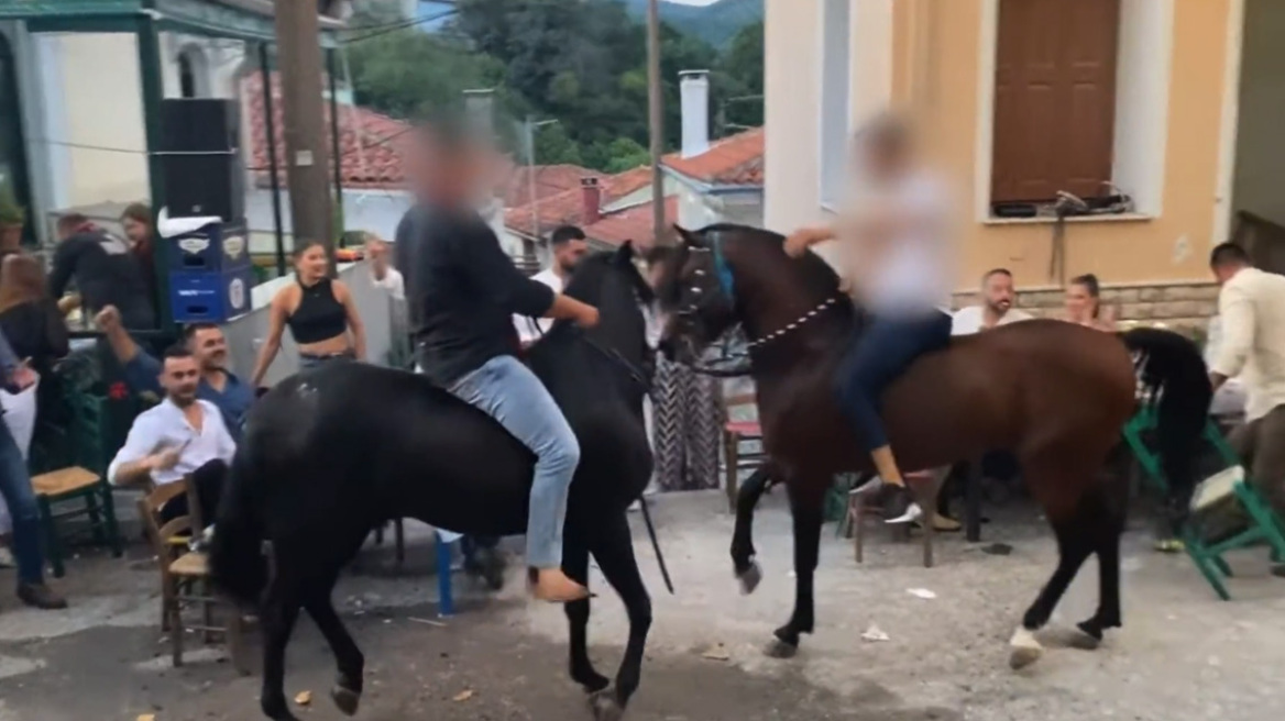Άλογα χορεύουν πάνω σε σπασμένα μπουκάλια στη Λέσβο - A Promise to Animals: «Όταν η κριτική σε ένα έθιμο θεωρείται επίθεση σε έναν τόπο»