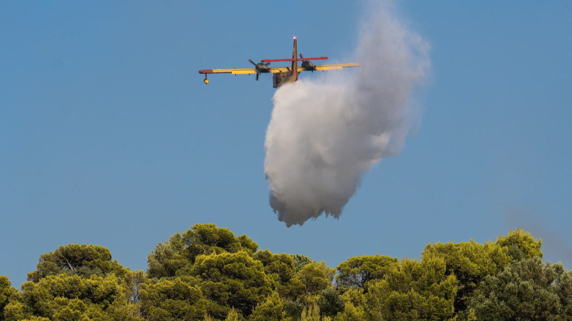 Υψηλός κίνδυνος πυρκαγιάς σήμερα, ποιες περιοχές βρίσκονται σε «κίτρινο» συναγερμό