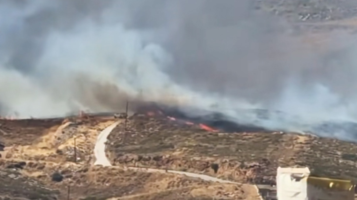 Καλύτερη η εικόνα της φωτιάς στην Κάρυστο, παραμένει δύσκολη η κατάσβεση λόγω των ανέμων, δείτε βίντεο

