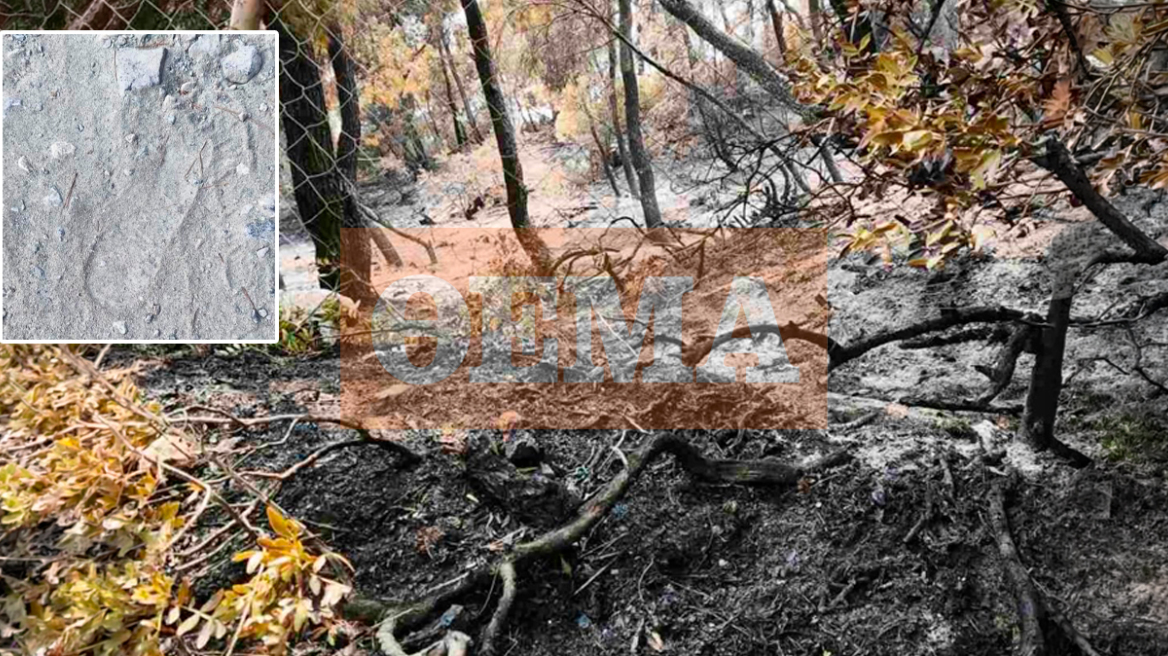 Φωτιά στη Σκύρο: Οι πατημασιές και τα μπουκάλια από αλκοόλ «οδήγησαν» στον 50χρονο που προσήχθη, εξετάζονται κτηνοτροφικές διαφορές