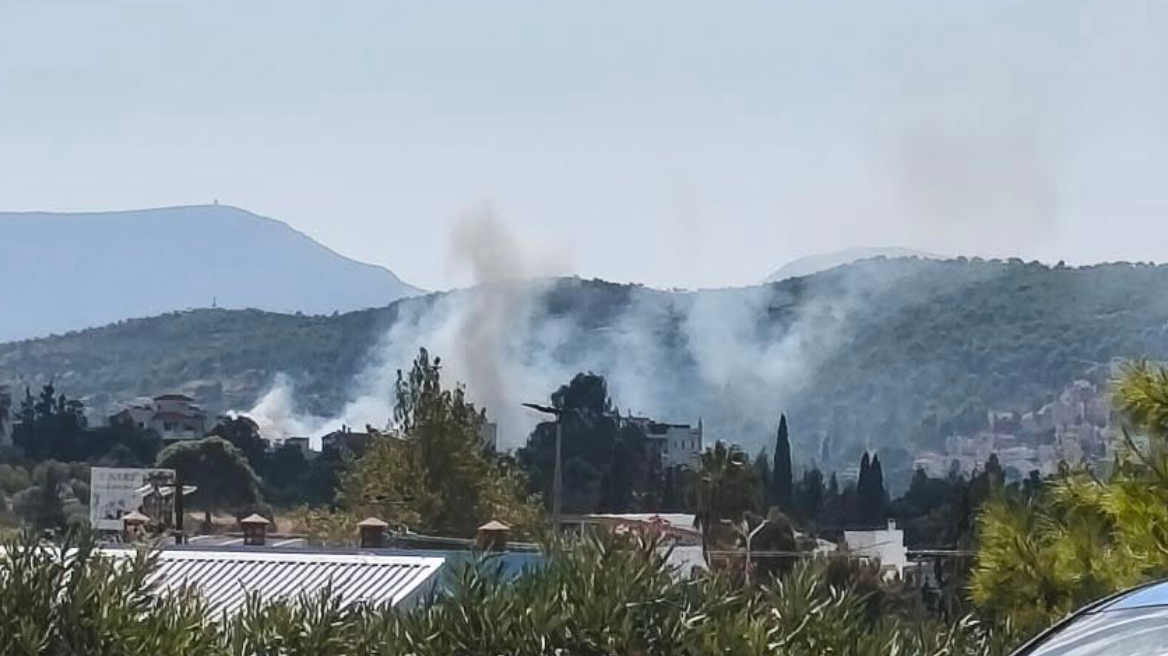 Φωτιά στην Παιανία, καίει ξερά χόρτα - Εστάλη μήνυμα από το 112 για ετοιμότητα
