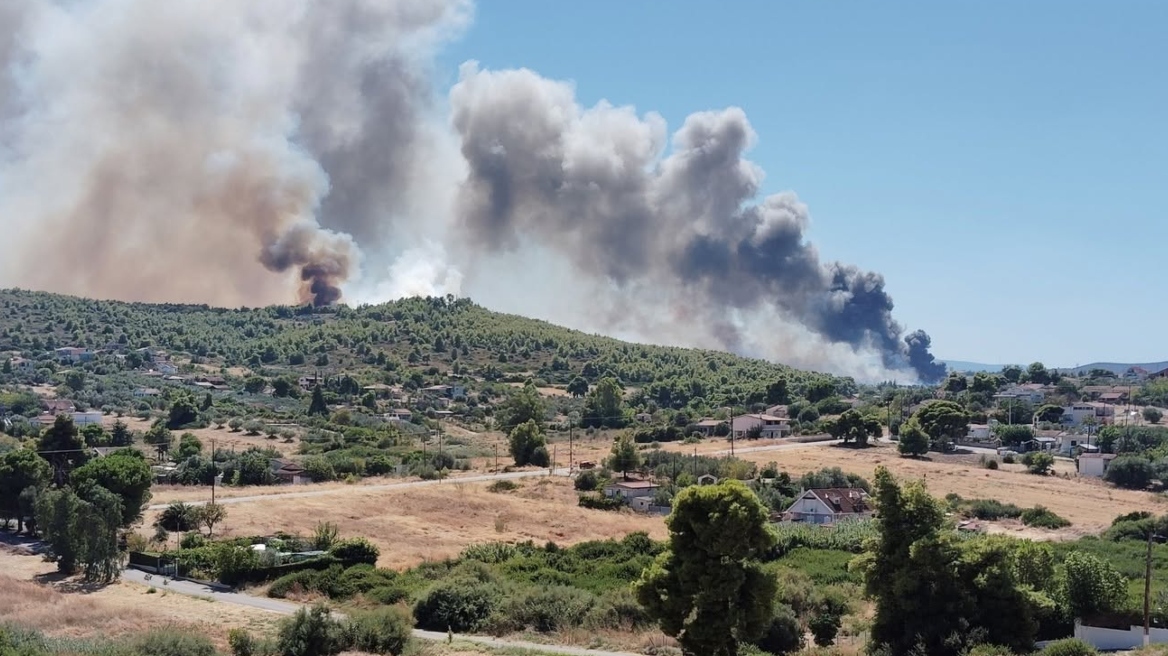 Φωτιά σε δασική έκταση στην Τανάγρα μετά την πτώση του Phantom στο Athens Flying Week, ήχησε το 112