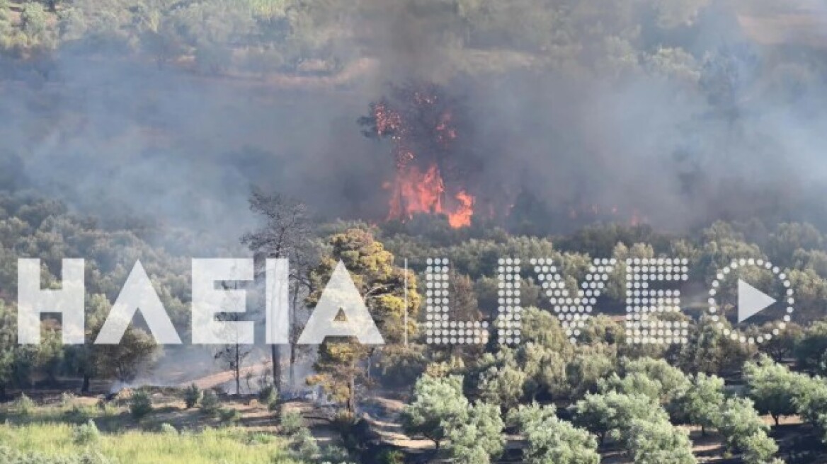 Χωρίς ενεργό μέτωπο η φωτιά στην Σκιλλουντία Ηλείας