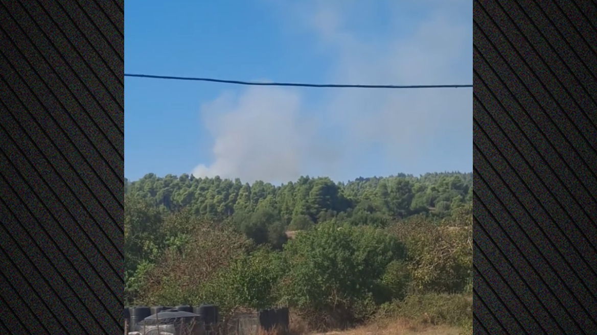 Χωρίς ενεργό μέτωπο η φωτιά σε δάσος στην Ελάνη Κασσάνδρας Χαλκιδικής, ήχησε 112 για ετοιμότητα, βίντεο