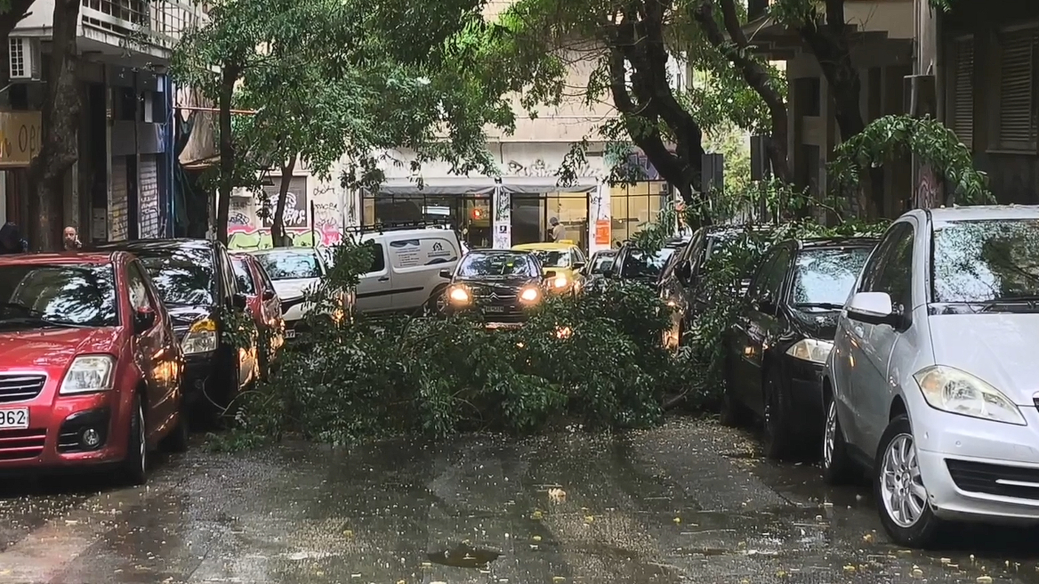 Κακοκαιρία: Πτώση δέντρου και διακοπή της κυκλοφορίας στη συμβολή της Διδότου με τη Χαριλάου Τρικούπη