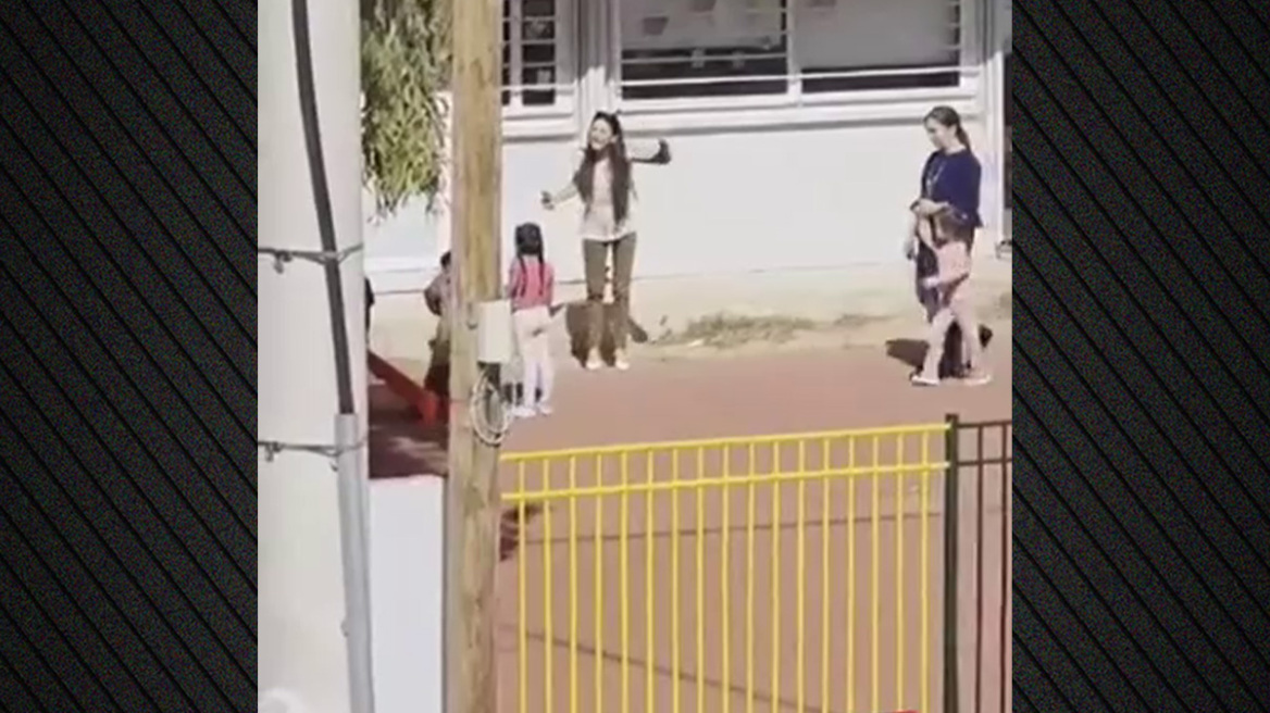 «Βοήθεια!»: Η στιγμή που γονέας χτυπάει τη διευθύντρια που φώναζε στα παιδάκια στο νηπιαγωγείο των Άνω Λιοσίων, δείτε βίντεο