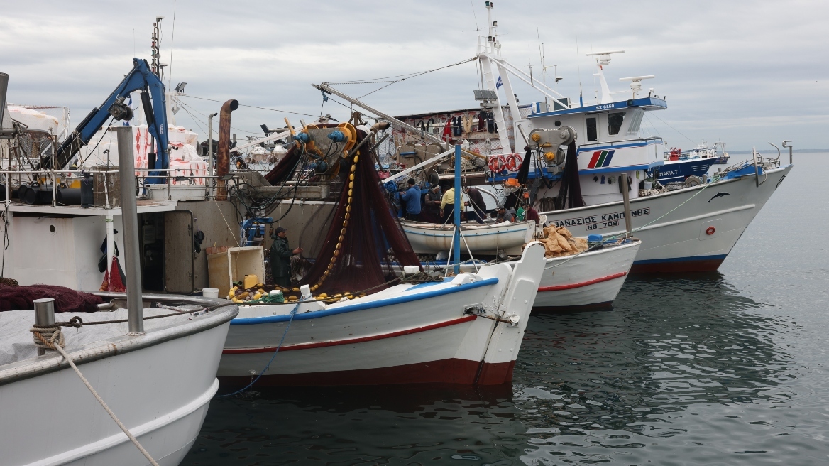 Έδεσαν τα καΐκια τους οι αλιείς: «Σε τρία χρόνια δεν θα τρώτε ελληνικό ψάρι, οδεύουμε στην καταστροφή»