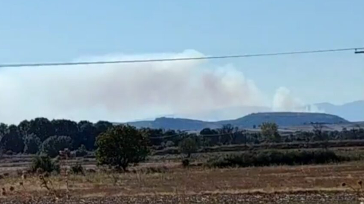 Φωτιά σε δάσος στο Σουφλί, πέρασε από τη Βουλγαρία στην Ελλάδα   