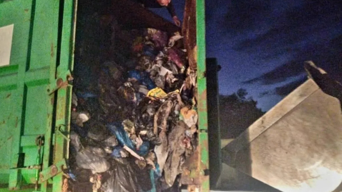 Απίστευτη διάσωση στη Ρόδο: Δύο μικρά γατάκια είχαν εγκλωβιστεί μέσα σε κοντέινερ απορριμμάτων