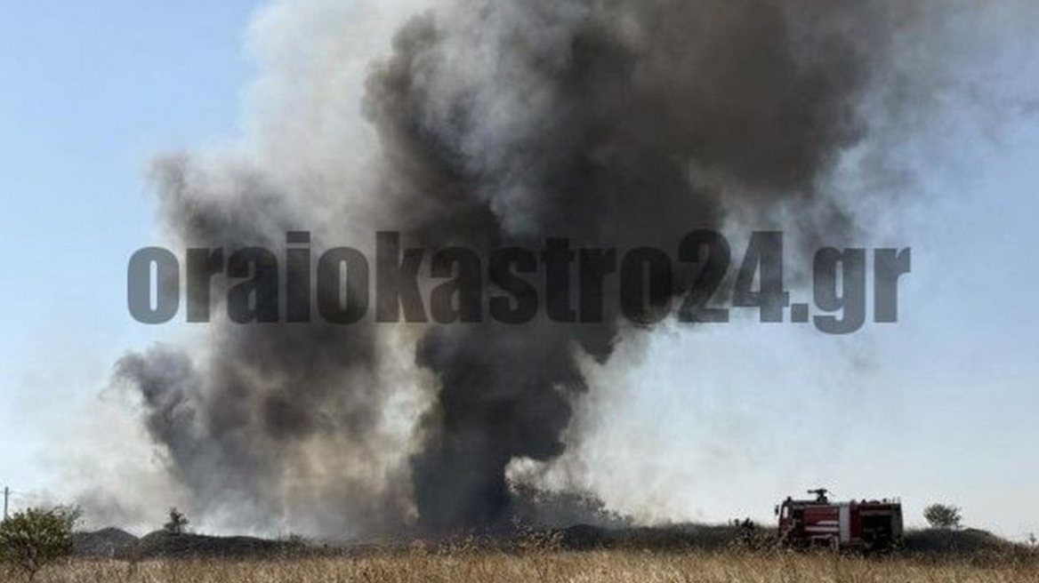 Φωτιά στη δυτική Θεσσαλονίκη με πυκνούς μαύρους καπνούς ορατούς από μεγάλη απόσταση