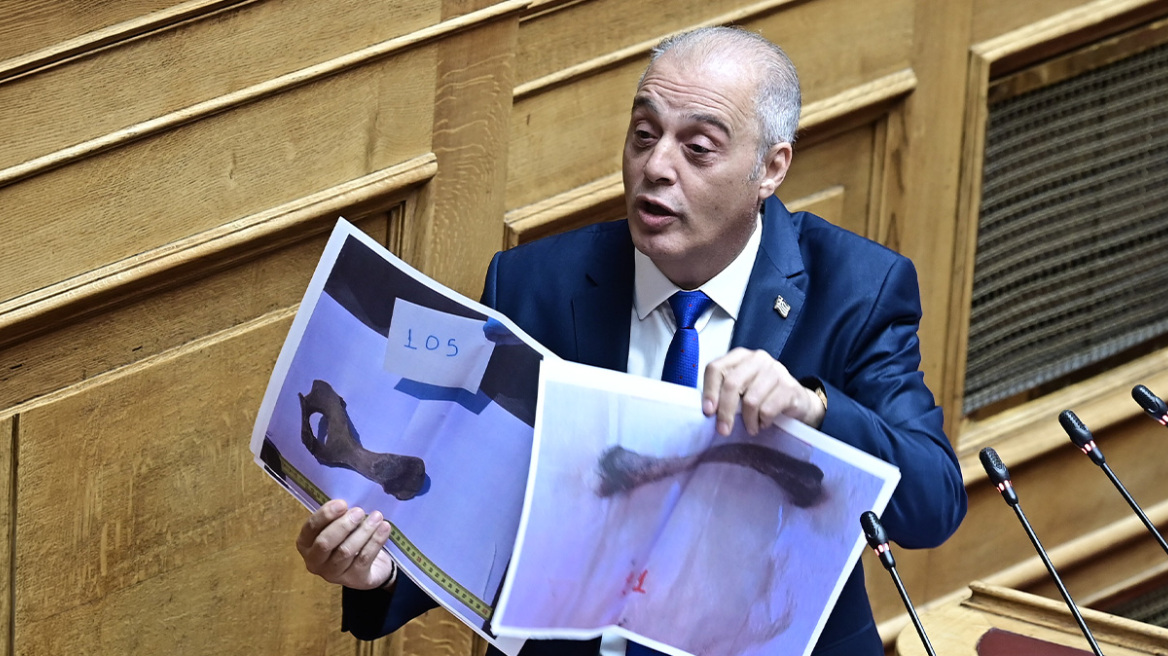 Πλακιάς: Έκπληκτος είδα τον Βελόπουλο να δείχνει φωτογραφίες οστών ζώων στη Βουλή υποστηρίζοντας ότι είναι από θύματα στα Τέμπη