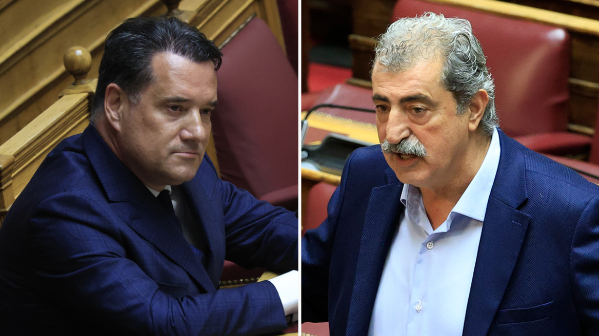 Κόντρα Γεωργιάδη - Πολάκη στη Βουλή: «Αυτός με το Χωριάτικο θα θελήσει να σας γνωρίσει να κρατάτε μαζί τα διπλά βιβλία» - «Υπόδειξη σε μένα, πάει πολύ»