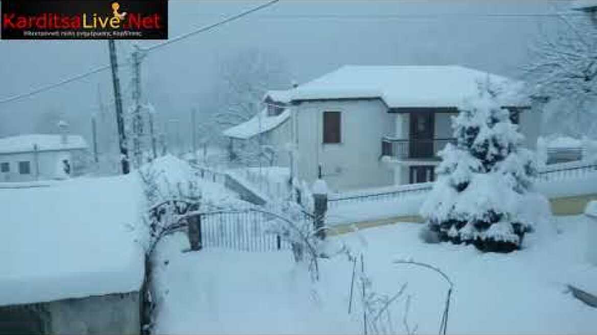 Κακοκαιρία "Μήδεια": Χιονόπτωση στο Πευκόφυτο Καρδίτσας (14/2/2021)
