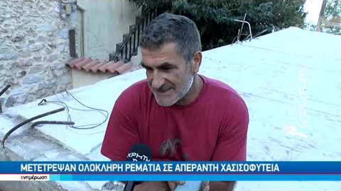 Μεγάλη αστυνομική επιχείρηση στο Ηράκλειο για χασισόδεντρα