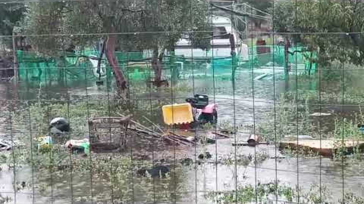 HALKIDIKINEWS - Παραλία Συκιάς κακοκαιρία 24-8-22