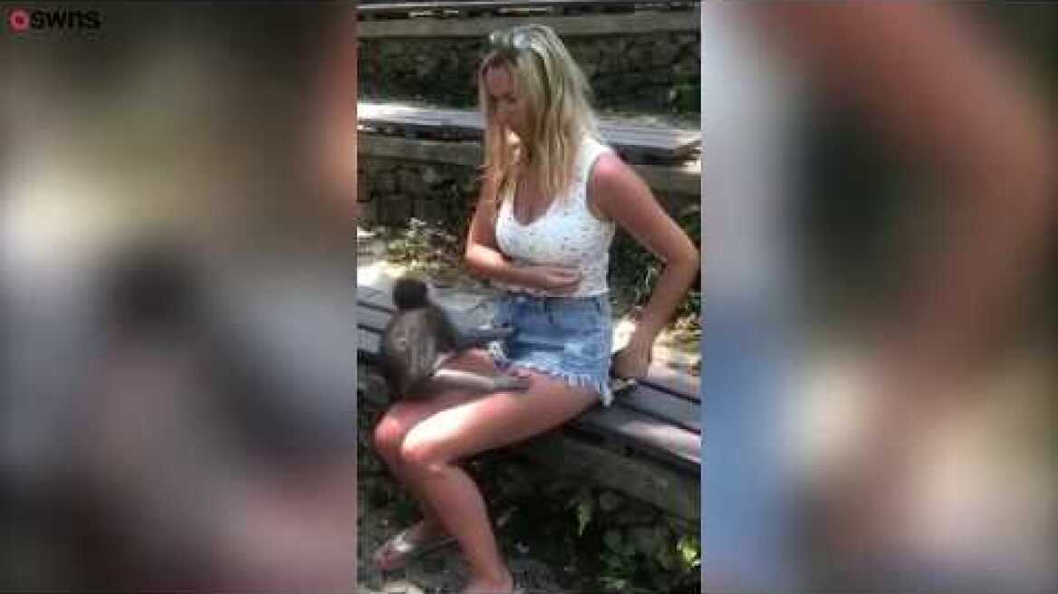 Οι μαϊμούδες ενίοτε γίνονται και άτακτες