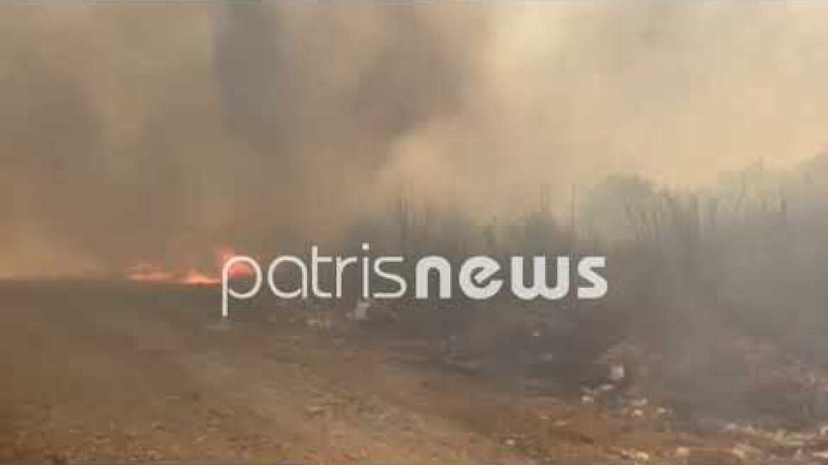 Δύο πύρινα μέτωπα στη Σπιάτζα